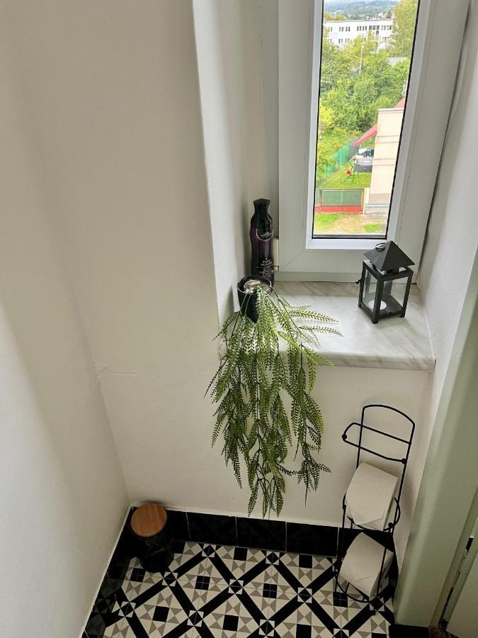 Slunny Byt S Krasnym Vyhledem Apartment Nové Město nad Metují Exterior foto