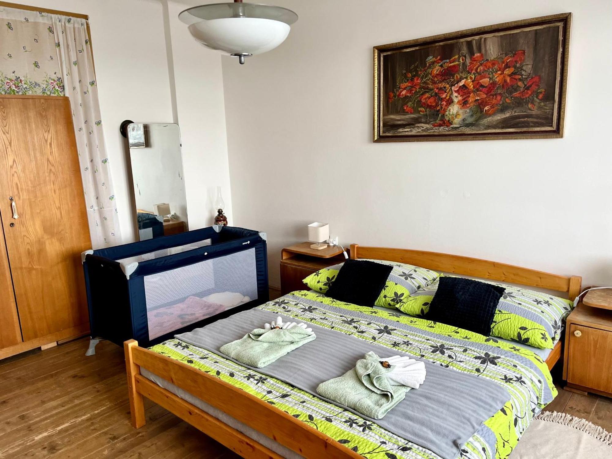 Slunny Byt S Krasnym Vyhledem Apartment Nové Město nad Metují Exterior foto